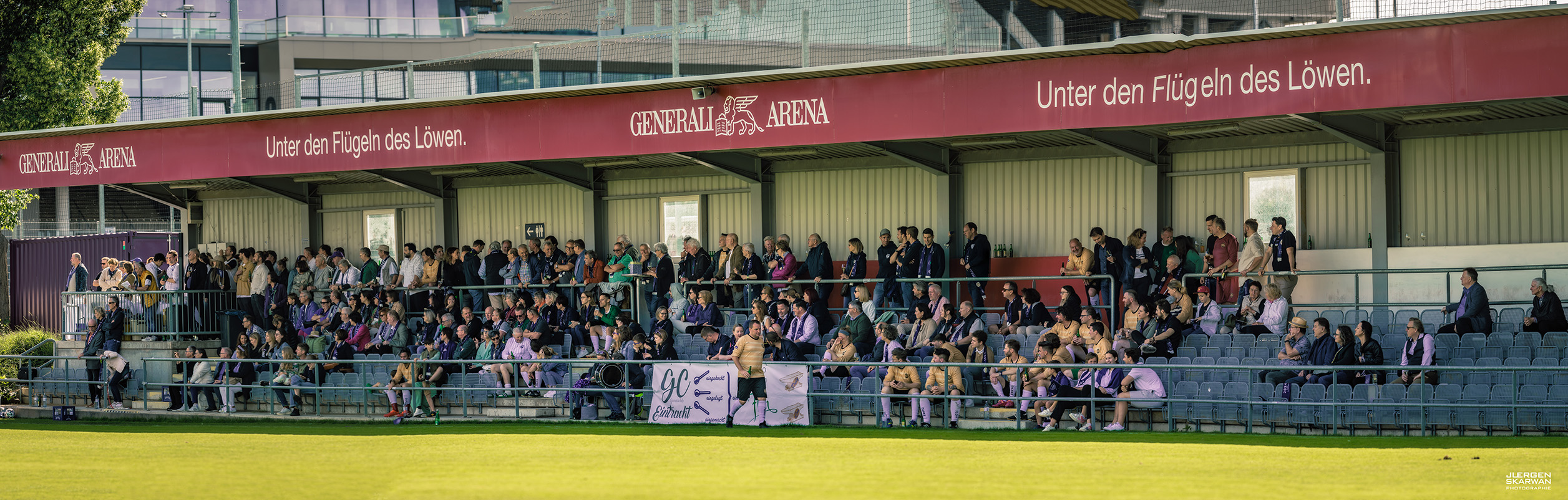 Foto Kalbszüngerlcup